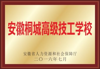 安徽桐城高级技工学校